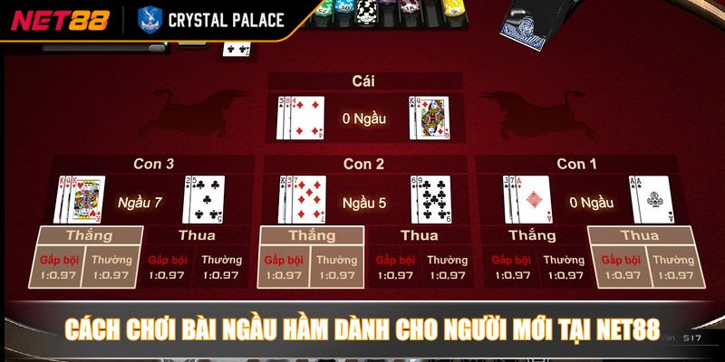 Cách Chơi Bài Ngầu Hầm Toàn Tập Chi Tiết Cho Người Mới 3 Cách chơi bài Ngầu hầm dành cho người mới tại NET88