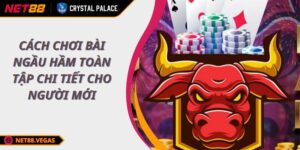 Cách Chơi Bài Ngầu Hầm Toàn Tập Chi Tiết Cho Người Mới