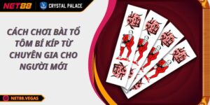 Cách Chơi Bài Tổ Tôm Bí Kíp Từ Chuyên Gia Cho Người Mới