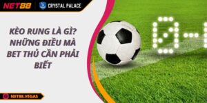 Kèo rung là gì? Những điều mà bet thủ cần phải biết
